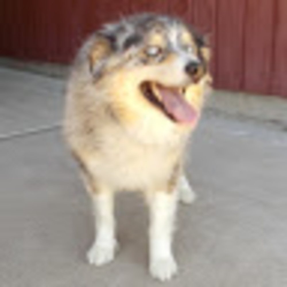 Meet your Posher, Justine